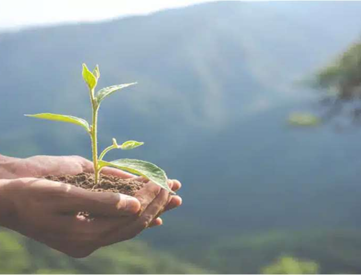 دورة الاكتئاب : رحلة نفسية وروحية للتشافي